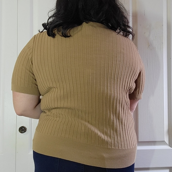 Brown Ribbed Tee with Buttons - Picture 3 of 3